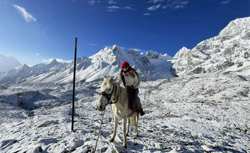 Manaslu Circuit Trek vs. Annapurna Circuit: Which Trek is Right for You?