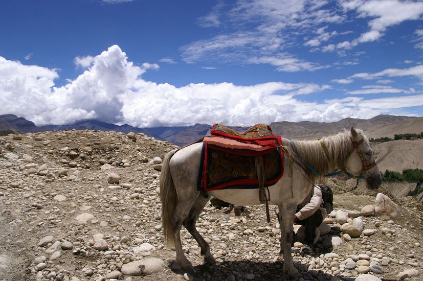 Upper Mustang Tiji Festival Jeep Tour 2025 and 2026