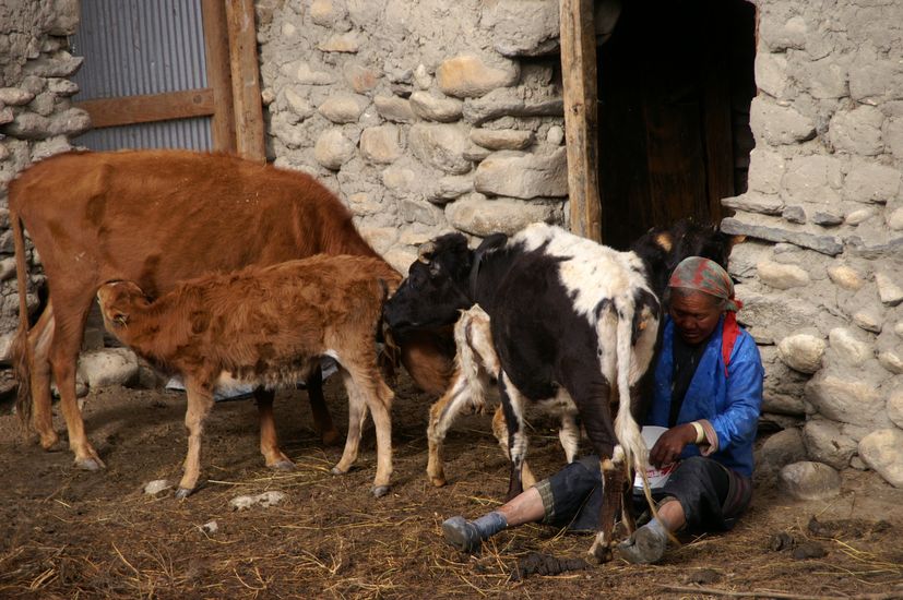 Upper Mustang Tiji Festival Jeep Tour 2025 and 2026