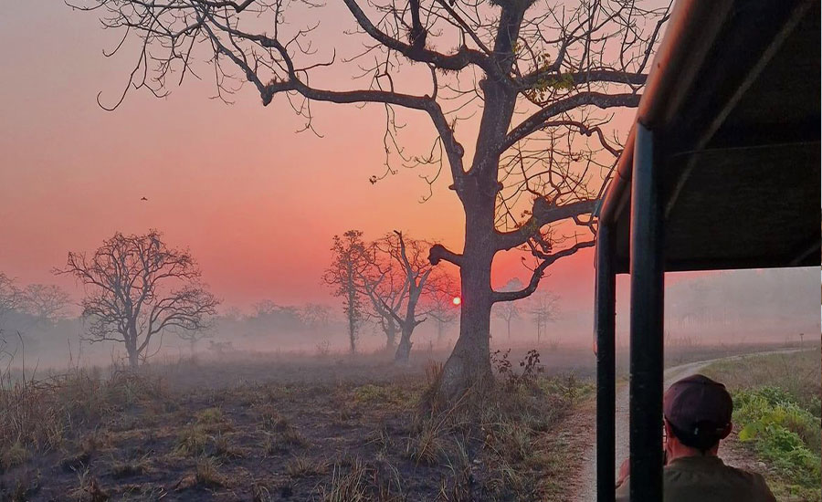 Exploring the Wild: National Parks in Nepal