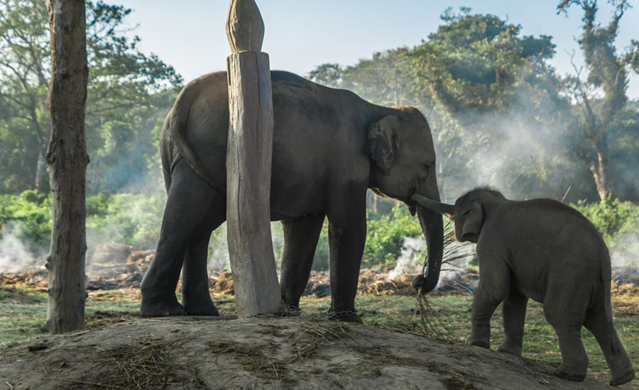 Luxury Photography Tour in Nepal