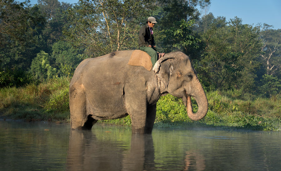 Luxury Photography Tour in Nepal