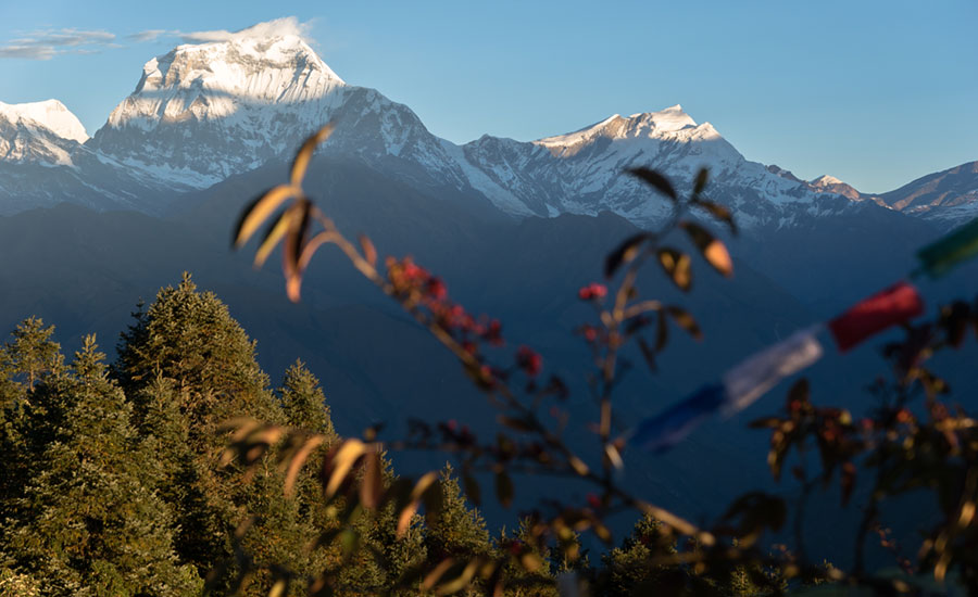 Luxury Photography Tour in Nepal